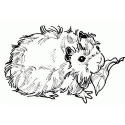 Página para colorir: Porquinho-da-índia (Animais) #211127 - Páginas para Colorir Imprimíveis Gratuitamente