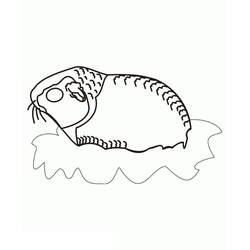 Página para colorir: Porquinho-da-índia (Animais) #211136 - Páginas para Colorir Imprimíveis Gratuitamente