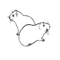 Página para colorir: Porquinho-da-índia (Animais) #211144 - Páginas para Colorir Imprimíveis Gratuitamente