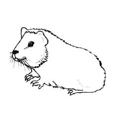 Página para colorir: Porquinho-da-índia (Animais) #211150 - Páginas para Colorir Imprimíveis Gratuitamente