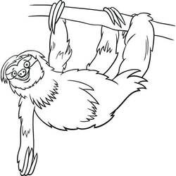 Desenho Preguiça (Animais) #210407 para imprimir e colorir