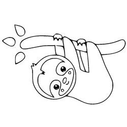Desenho Preguiça (Animais) #210408 para imprimir e colorir