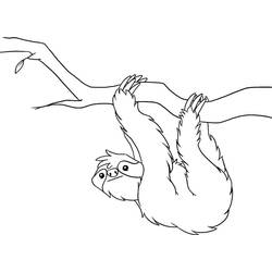 Desenho Preguiça (Animais) #210411 para imprimir e colorir