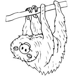 Desenho Preguiça (Animais) #210413 para imprimir e colorir