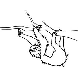 Desenho Preguiça (Animais) #210441 para imprimir e colorir