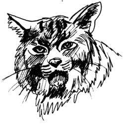 Página para colorir: Puma (animais) #4398 - Páginas para Colorir Imprimíveis Gratuitamente