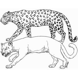 Página para colorir: Puma (animais) #4414 - Páginas para Colorir Imprimíveis Gratuitamente