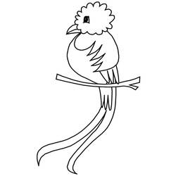 Desenhos para colorir: Quetzal - Páginas para Colorir Imprimíveis Gratuitamente