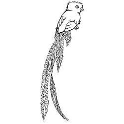 Desenho Quetzal (Animais) #180748 para imprimir e colorir