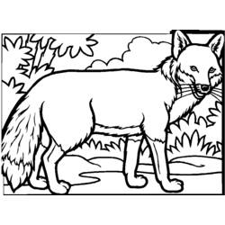 Página para colorir: Raposa (animais) #14977 - Páginas para Colorir Imprimíveis Gratuitamente