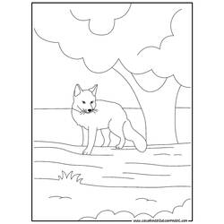 Página para colorir: Raposa (animais) #15021 - Páginas para Colorir Imprimíveis Gratuitamente