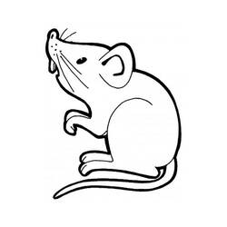 Página para colorir: Rato (animais) #13937 - Páginas para Colorir Imprimíveis Gratuitamente