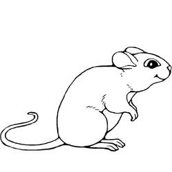Página para colorir: Rato (animais) #13947 - Páginas para Colorir Imprimíveis Gratuitamente
