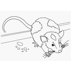 Página para colorir: Rato (animais) #13963 - Páginas para Colorir Imprimíveis Gratuitamente