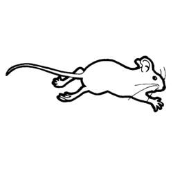 Página para colorir: Rato (animais) #13985 - Páginas para Colorir Imprimíveis Gratuitamente
