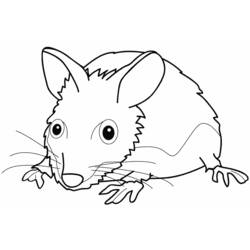 Página para colorir: Rato (animais) #14130 - Páginas para Colorir Imprimíveis Gratuitamente