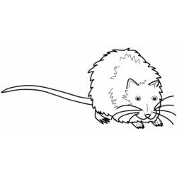 Desenho Rato (Animais) #15183 para imprimir e colorir