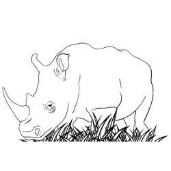 Desenho Rinoceronte (Animais) #206663 para imprimir e colorir