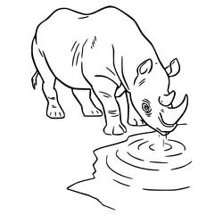 Desenho Rinoceronte (Animais) #206673 para imprimir e colorir