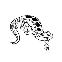 Página para colorir: Salamandra (animais) #19891 - Páginas para Colorir Imprimíveis Gratuitamente