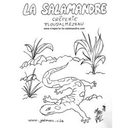Página para colorir: Salamandra (animais) #19893 - Páginas para Colorir Imprimíveis Gratuitamente