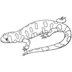Página para colorir: Salamandra (animais) #19902 - Páginas para Colorir Imprimíveis Gratuitamente