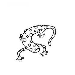 Página para colorir: Salamandra (animais) #19905 - Páginas para Colorir Imprimíveis Gratuitamente