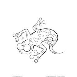 Página para colorir: Salamandra (animais) #19944 - Páginas para Colorir Imprimíveis Gratuitamente