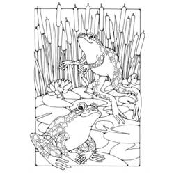 Página para colorir: Sapo (animais) #7716 - Páginas para Colorir Imprimíveis Gratuitamente