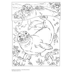 Página para colorir: Selo (animais) #16291 - Páginas para Colorir Imprimíveis Gratuitamente