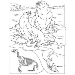 Página para colorir: Selo (animais) #16337 - Páginas para Colorir Imprimíveis Gratuitamente