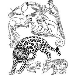 Desenho Selva (Animais) #181002 para imprimir e colorir