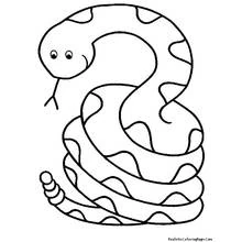 Desenho Serpente (Animais) #14340 para imprimir e colorir