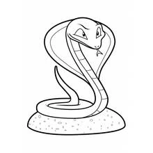 Desenho Serpente (Animais) #14397 para imprimir e colorir
