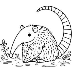 Desenho Tamanduá (Animais) #219645 para imprimir e colorir