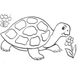 Página para colorir: Tartaruga (animais) #13391 - Páginas para Colorir Imprimíveis Gratuitamente