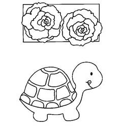 Página para colorir: Tartaruga (animais) #13402 - Páginas para Colorir Imprimíveis Gratuitamente