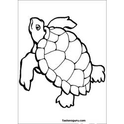 Página para colorir: Tartaruga (animais) #13429 - Páginas para Colorir Imprimíveis Gratuitamente