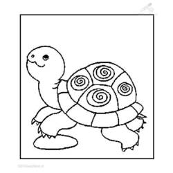 Página para colorir: Tartaruga (animais) #13432 - Páginas para Colorir Imprimíveis Gratuitamente