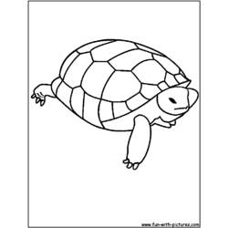 Página para colorir: Tartaruga (animais) #13436 - Páginas para Colorir Imprimíveis Gratuitamente