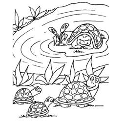 Página para colorir: Tartaruga (animais) #13468 - Páginas para Colorir Imprimíveis Gratuitamente