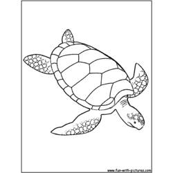 Página para colorir: Tartaruga (animais) #13485 - Páginas para Colorir Imprimíveis Gratuitamente