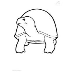 Página para colorir: Tartaruga (animais) #13526 - Páginas para Colorir Imprimíveis Gratuitamente