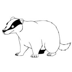 Desenho Texugo (Animais) #208827 para imprimir e colorir