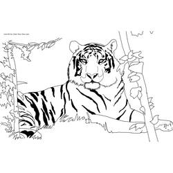 Página para colorir: Tigre (animais) #13590 - Páginas para Colorir Imprimíveis Gratuitamente