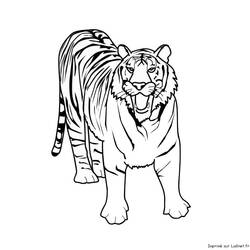 Página para colorir: Tigre (animais) #13595 - Páginas para Colorir Imprimíveis Gratuitamente