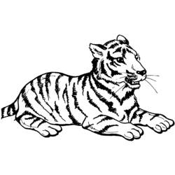 Página para colorir: Tigre (animais) #13597 - Páginas para Colorir Imprimíveis Gratuitamente