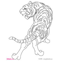 Página para colorir: Tigre (animais) #13600 - Páginas para Colorir Imprimíveis Gratuitamente