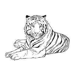 Página para colorir: Tigre (animais) #13601 - Páginas para Colorir Imprimíveis Gratuitamente