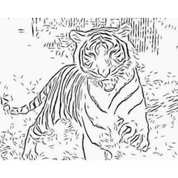 Página para colorir: Tigre (animais) #13606 - Páginas para Colorir Imprimíveis Gratuitamente